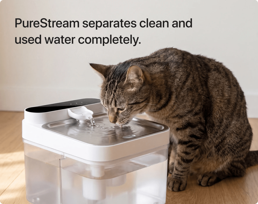 Stainless steel where your cat drinks